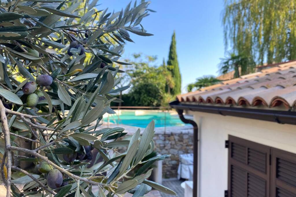 فيلا Relais San Sebastiano بيترا ليغوري المظهر الخارجي الصورة