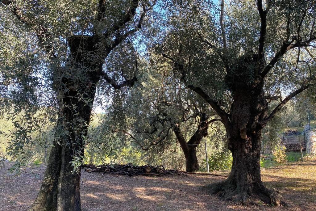 فيلا Relais San Sebastiano بيترا ليغوري المظهر الخارجي الصورة